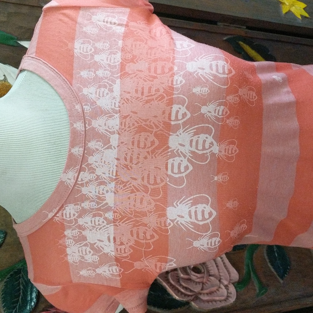 Vintage Whimsical Bee and Stripe Semi Sheer Pink Tee Anthropologie Vibes Size XS